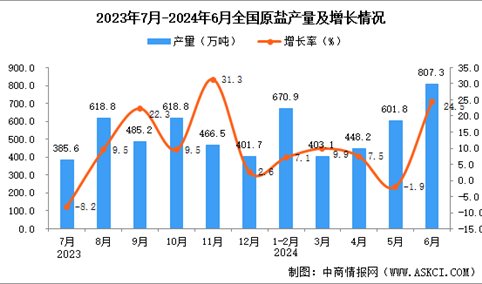 2024年6月全国原盐产量数据统计分析