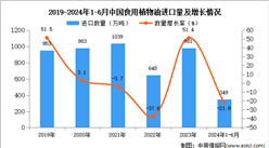 2024年1-6月中國食用植物油進口數據統計分析：進口量同比下降21.9%