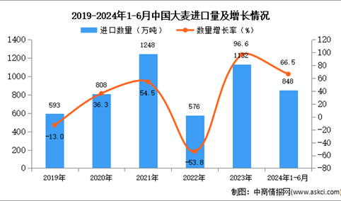 2024年1-6月中国大麦进口数据统计分析：进口量同比增长66.5%