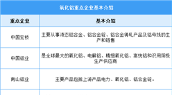 2024年中国氧化铝产量及重点企业预测分析（图）
