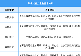 2024年中国氧化铝产量及重点企业预测分析（图）