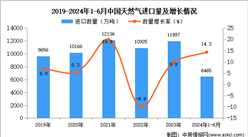 2024年1-6月中國(guó)天然氣進(jìn)口數(shù)據(jù)統(tǒng)計(jì)分析：進(jìn)口量同比增長(zhǎng)14.3%