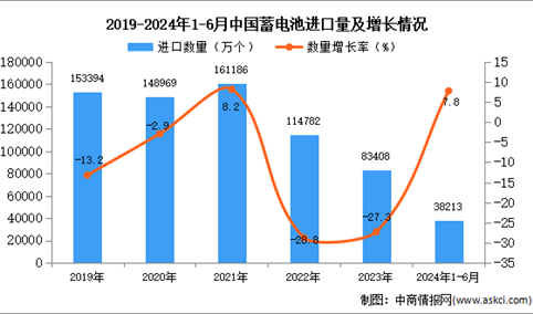 2024年1-6月中国蓄电池进口数据统计分析：进口量38213万个