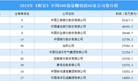 2024年《财富》中国500强最赚钱的40家公司排行榜（附榜单）