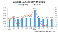 2024年6月全国锌产量数据统计分析