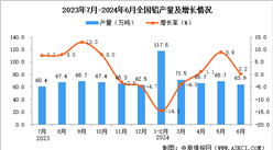 2024年6月全国铅产量数据统计分析