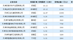 【投资洞察】2024年上半年天津市50强企业在土地投资方面的总额达13亿以上（图）