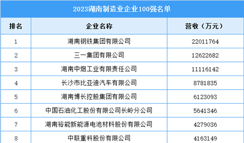 2023湖南制造业企业100强名单（图）