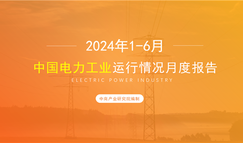 2024年1-6月中国电力工业运行情况月度报告（附完整版）