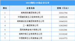 2023湖南100強(qiáng)企業(yè)名單（圖）