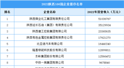 2023陜西100強企業排行榜（附全榜單）