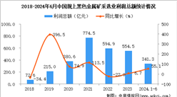 2024年1-6月中國(guó)黑色金屬礦采選業(yè)經(jīng)營(yíng)情況：利潤(rùn)同比增長(zhǎng)55.1%