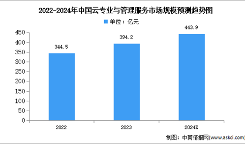 2024年中国云专业与管理服务市场规模及结构预测分析（图）