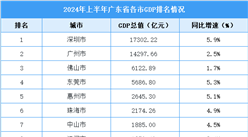 2024年上半年廣東省各市GDP排行榜：深圳廣州超萬(wàn)億元（圖）