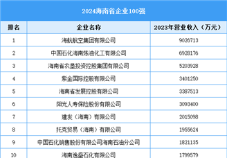 2024海南省企业100强名单（图）