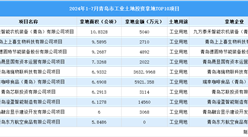 2024年1-7月青島市十大工業(yè)土地投資項(xiàng)目拿地面積達(dá)70公頃以上（圖）