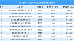 【產(chǎn)業(yè)投資要點】2024年1-7月泰安市制造業(yè)土地投資30強企業(yè)匯總情況