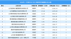 【投資追蹤】2024年1-7月泰安市土地投資方面企業(yè)30強(qiáng)投資總額超7億元（圖）