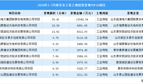 2024年1-7月泰安市十大工业土地投资项目拿地面积逾110公顷（图）