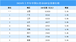 2024年上半年中國31省市GDP排行榜：廣東GDP增速放緩（圖）