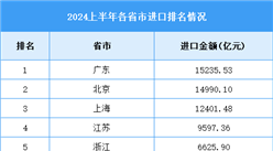 2024年1-6月全国各省市进口排名情况（附榜单）