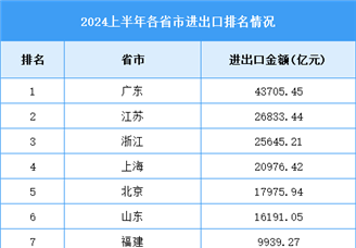 2024年上半年全國各省市進出口排名情況（附榜單）