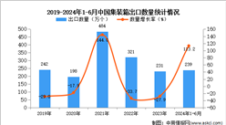 2024年1-6月中国集装箱出口数据统计分析：出口量239万个