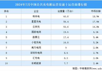 2024年7月中国公共充电桩运营量前十运营商排行榜（附榜单）