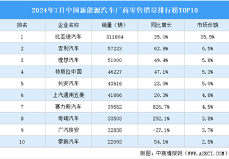 2024年7月中国新能源汽车厂商零售销量排行榜TOP10（附榜单）