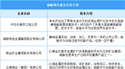 2024年中國硫酸產量及重點企業預測分析（圖）