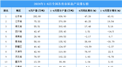 2024年上半年全国各省市原盐产量排行榜