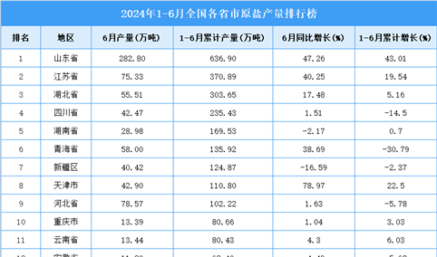 2024年上半年全国各省市原盐产量排行榜