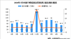 2024年7月中國干鮮瓜果及堅果進口數據統計分析：進口量同比下降0.2%