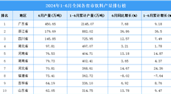 2024年上半年全國各省市飲料產量排行榜