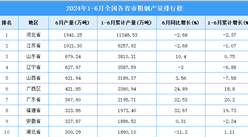 2024年上半年全国各省市粗钢产量排行榜