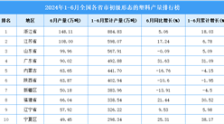 2024年上半年全国各省市初级形态的塑料产量排行榜