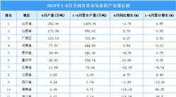 2024年上半年全國各省市氧化鋁產量排行榜