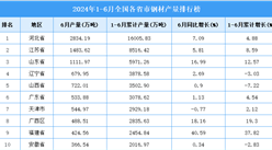 2024年上半年全国各省市钢材产量排行榜