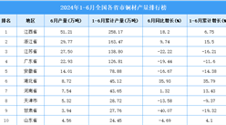 2024年上半年全国各省市铜材产量排行榜