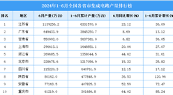 2024年上半年全國各省市集成電路產(chǎn)量排行榜