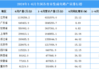 2024年上半年全国各省市集成电路产量排行榜