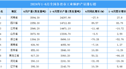 2024年上半年全国各省市工业锅炉产量排行榜