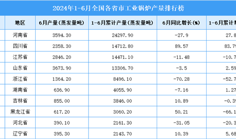 2024年上半年全国各省市工业锅炉产量排行榜