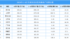 2024年上半年全国各省市发电机组产量排行榜