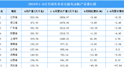 2024年上半年全国各省市交流电动机产量排行榜