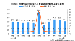 2024年7月中國箱包及類似容器出口數據統計分析：出口量31.1萬噸