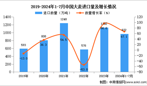 2024年1-7月中国大麦进口数据统计分析：进口量同比增长67.1%