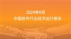 2024年1-6月中國軟件行業(yè)經(jīng)濟(jì)運行報告（附全文）