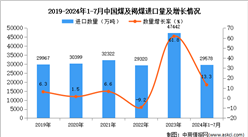 2024年1-7月中國煤及褐煤進口數據統計分析：進口量同比增長13.3%