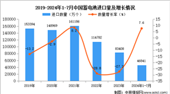 2024年1-7月中國蓄電池進口數(shù)據(jù)統(tǒng)計分析：進口量46841萬個